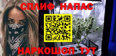 прущие грибы Гусь-Хрустальный